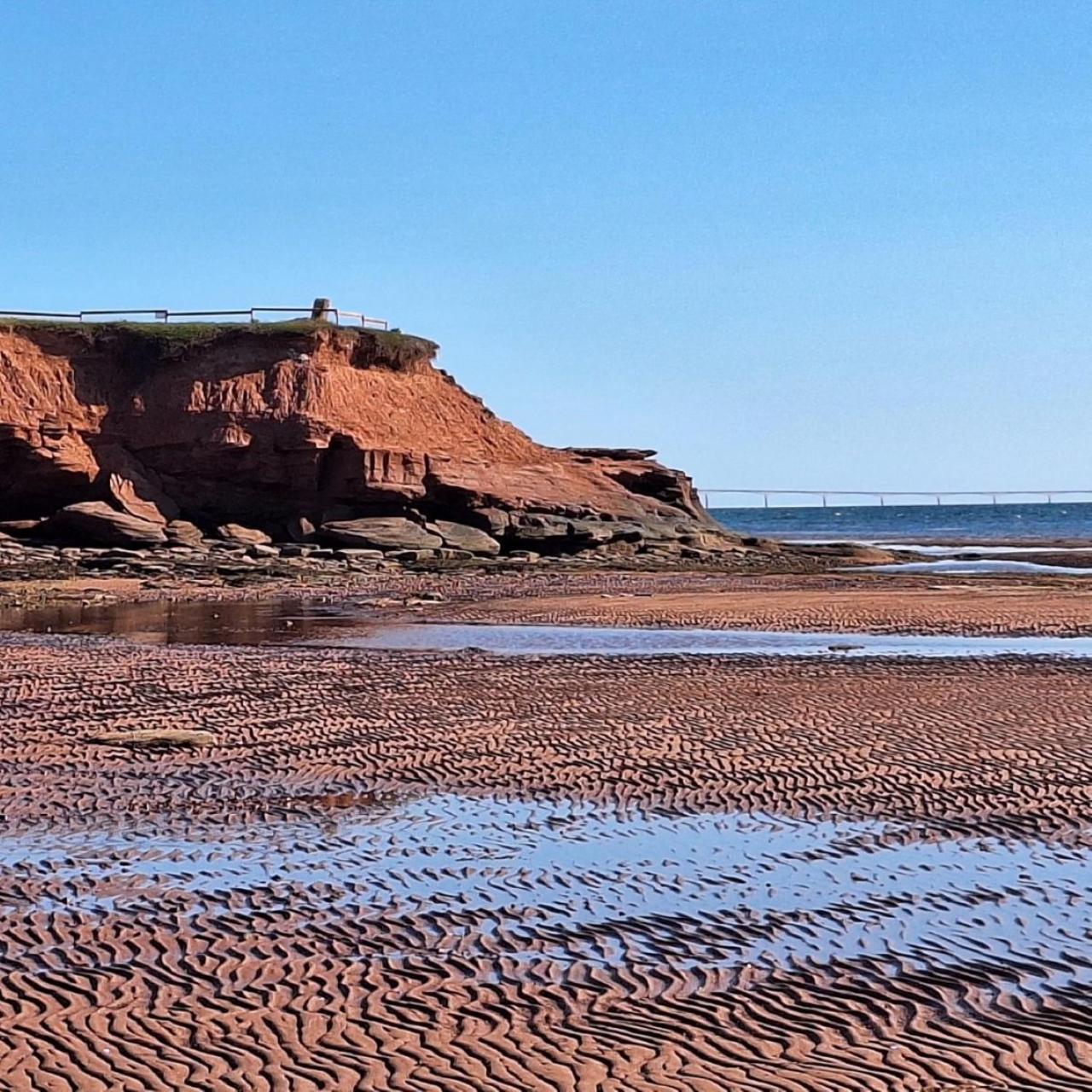 Cottages On Pei-Oceanfront Bedeque Eksteriør billede