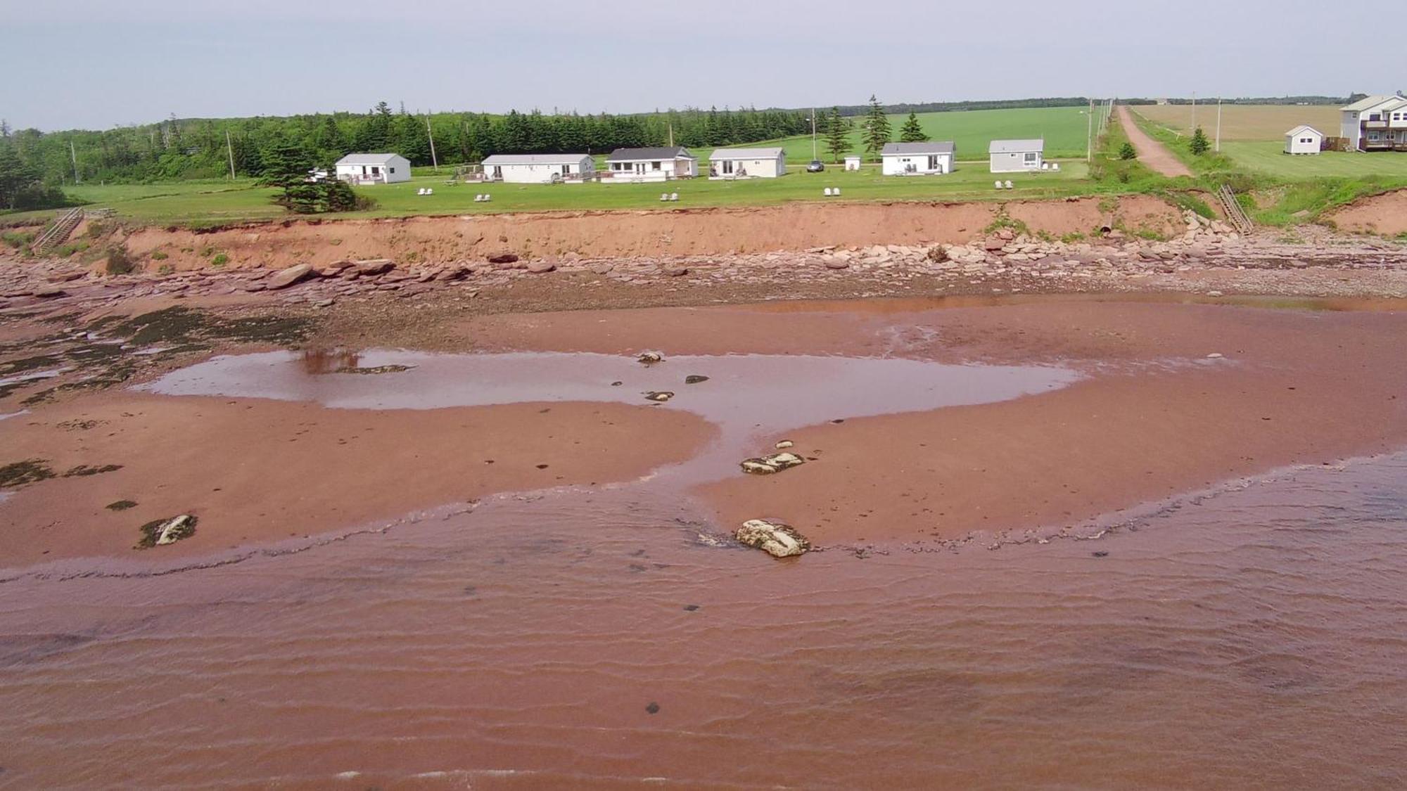 Cottages On Pei-Oceanfront Bedeque Eksteriør billede