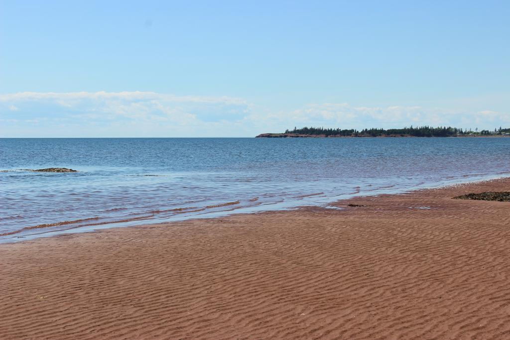 Cottages On Pei-Oceanfront Bedeque Eksteriør billede