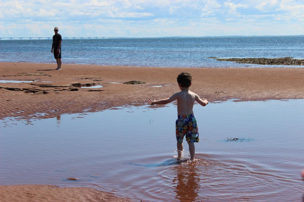 Cottages On Pei-Oceanfront Bedeque Eksteriør billede